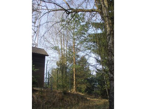 Foto 21